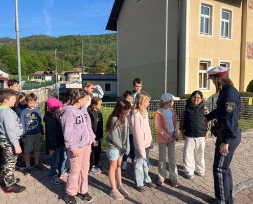 PHOTO-2025-04-30-08-36-04