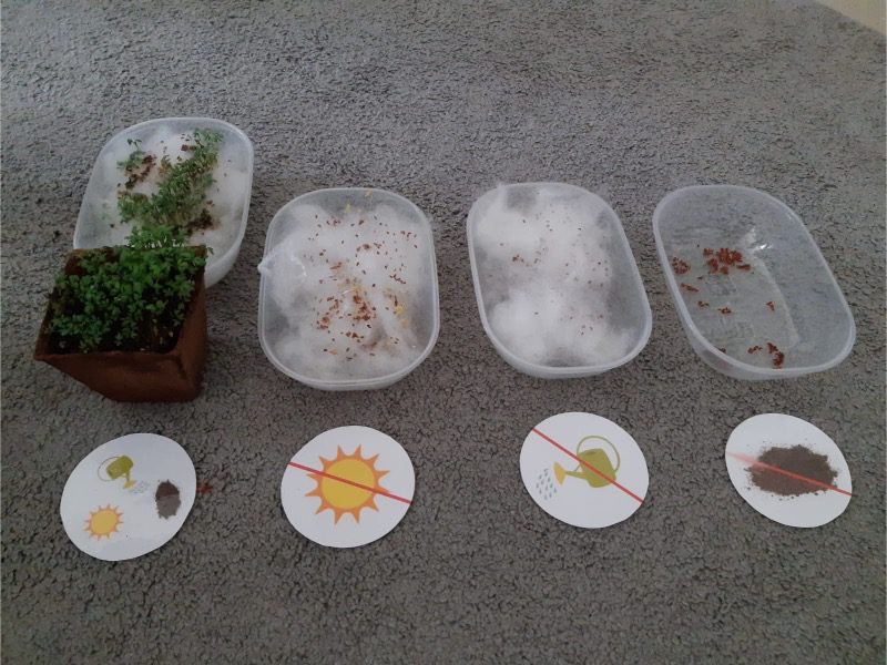 PHOTO-2025-04-30-14-01-15